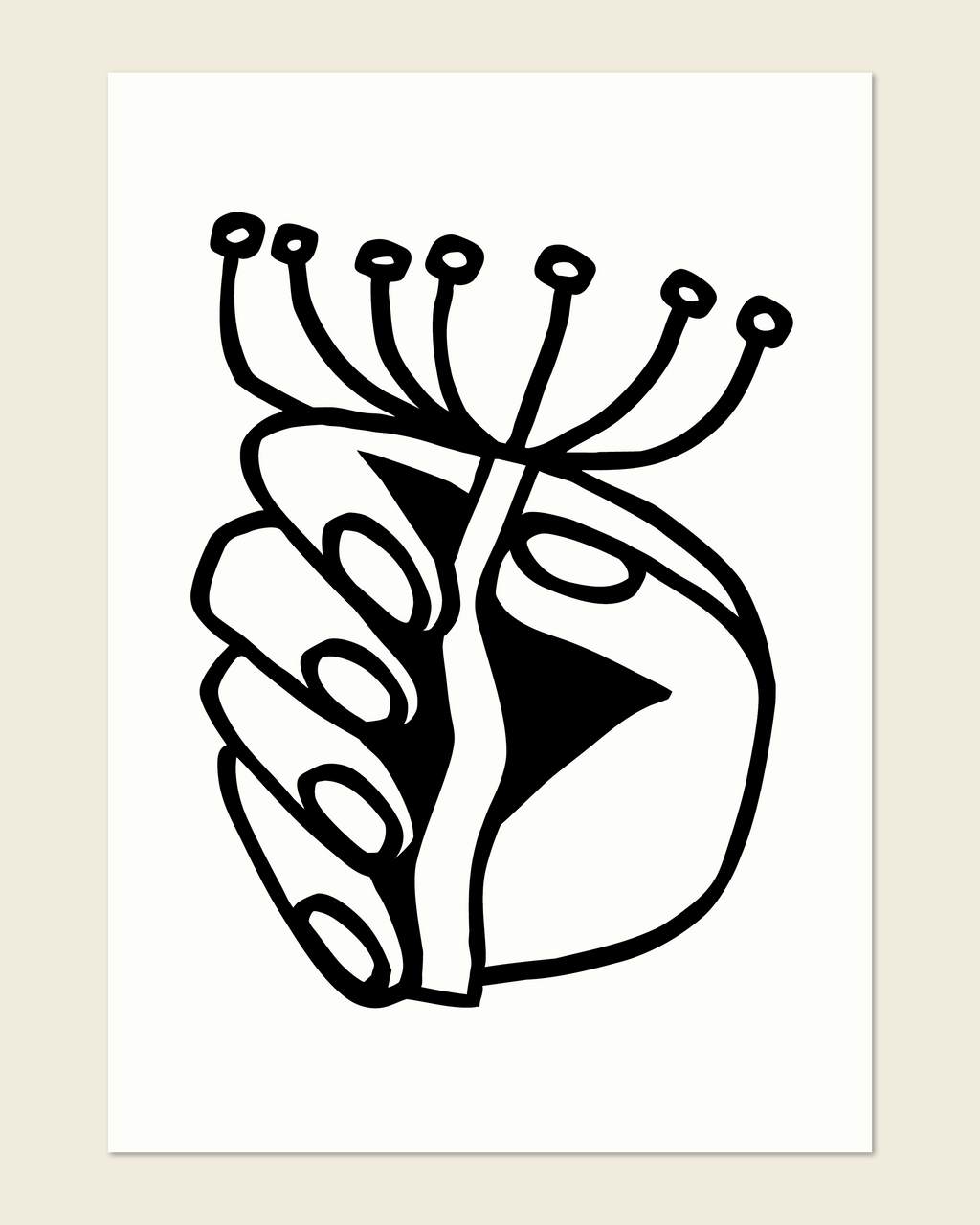 Fennel Fingers b/w