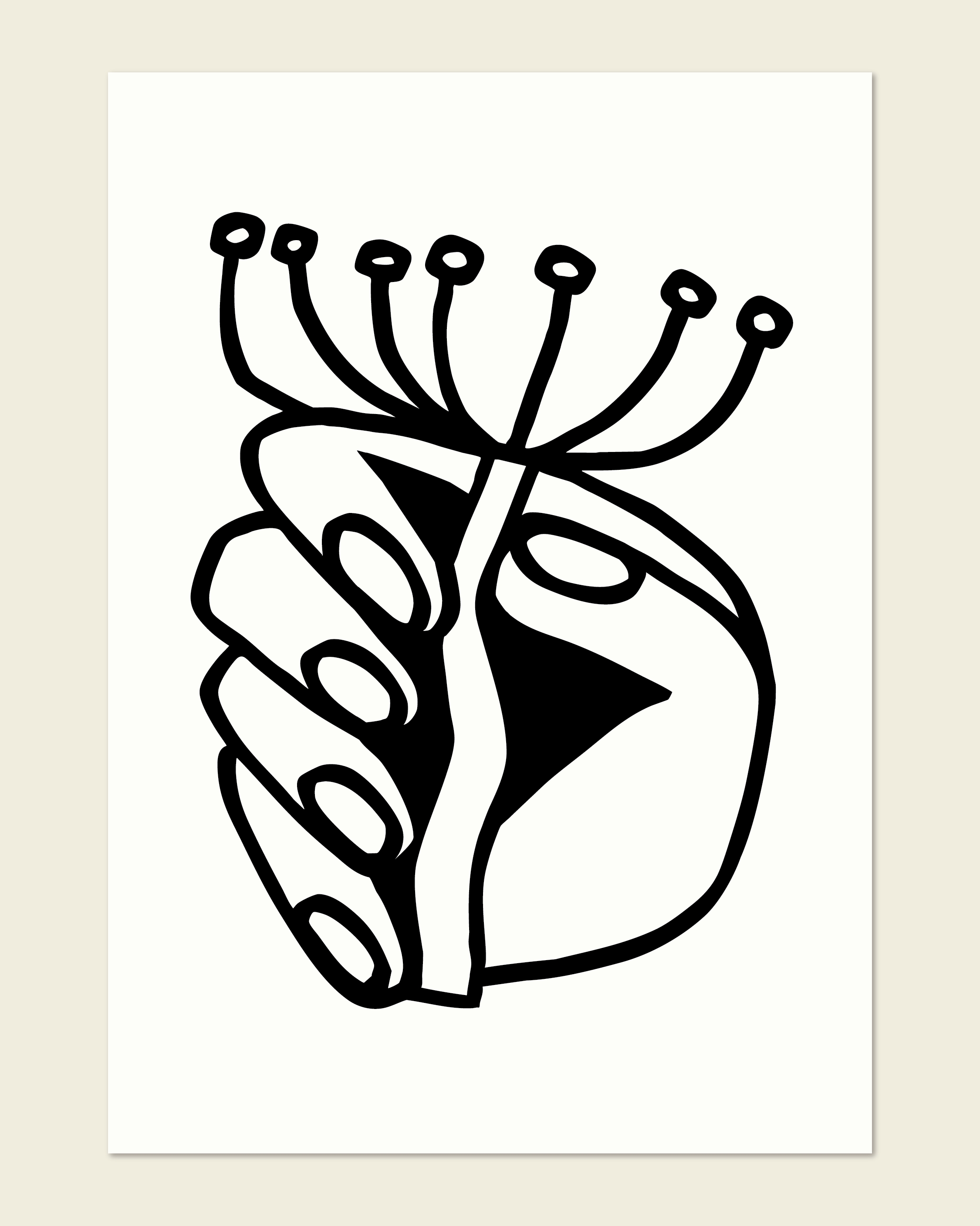 Fennel Fingers b/w