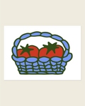 Tomato Harvest